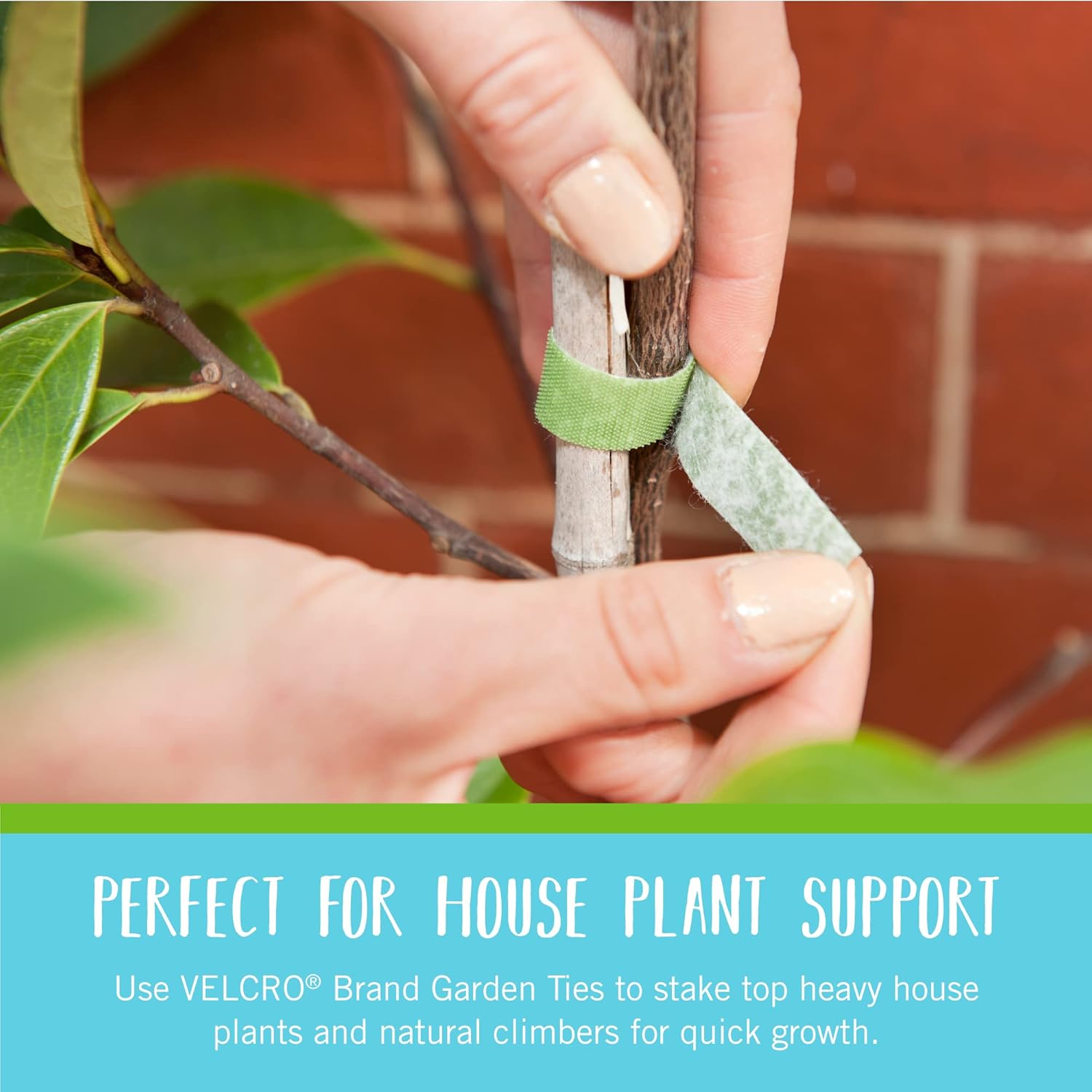 VELCRO Brand Garden Ties - Reusable Plant Supports for Effective Growing | 50 ft x 1/2 in, Green-Recycled Plastic