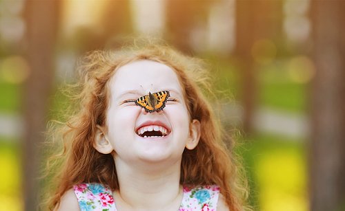 3D Monarch Butterfly Stickers Home Decor Fake Orange Butterflies Wall Decor for Flower Arrangement Removable Mural Wall Stickers Art Decal for Home Decorations Kids Room Bedroom Nursery Decor