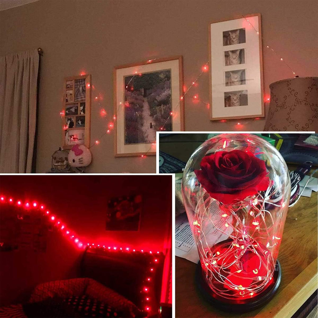 Ariceleo LED Fairy Lights - Battery Operated Copper Wire String Lights | 5m/16ft Red for Bedroom & Parties