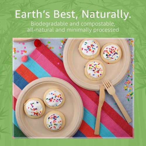 Jenvita Paper Bamboo Plates Disposable (50-Pack, 9-inch) | Sturdy & Microwave Safe | Compostable Paper Plates Disposable Heavy Duty | PFAS Free, Biodegradable | FSC Certified Alternative to Plastic