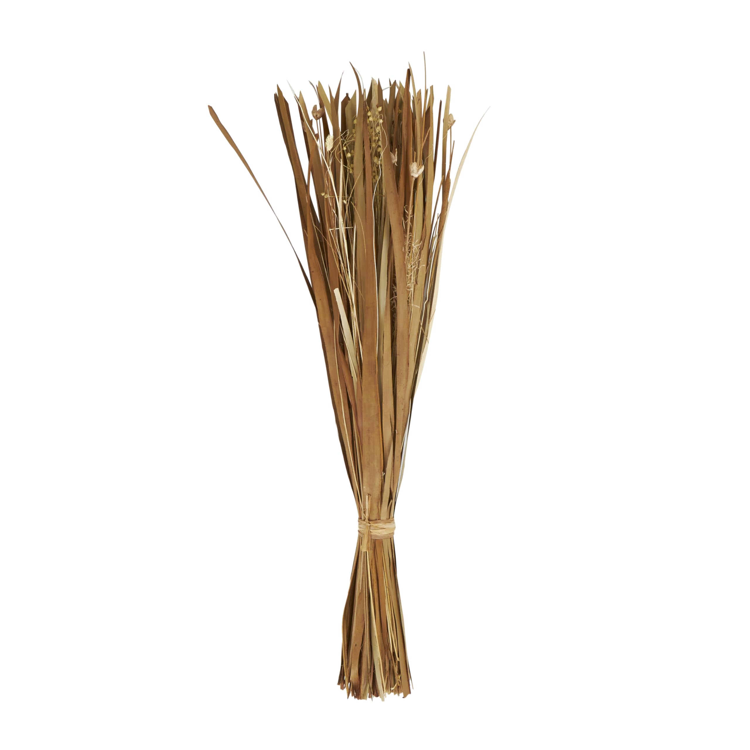 Deco 79 Dried Plant Natural Foliage, 9" x 6" x 41", Brown