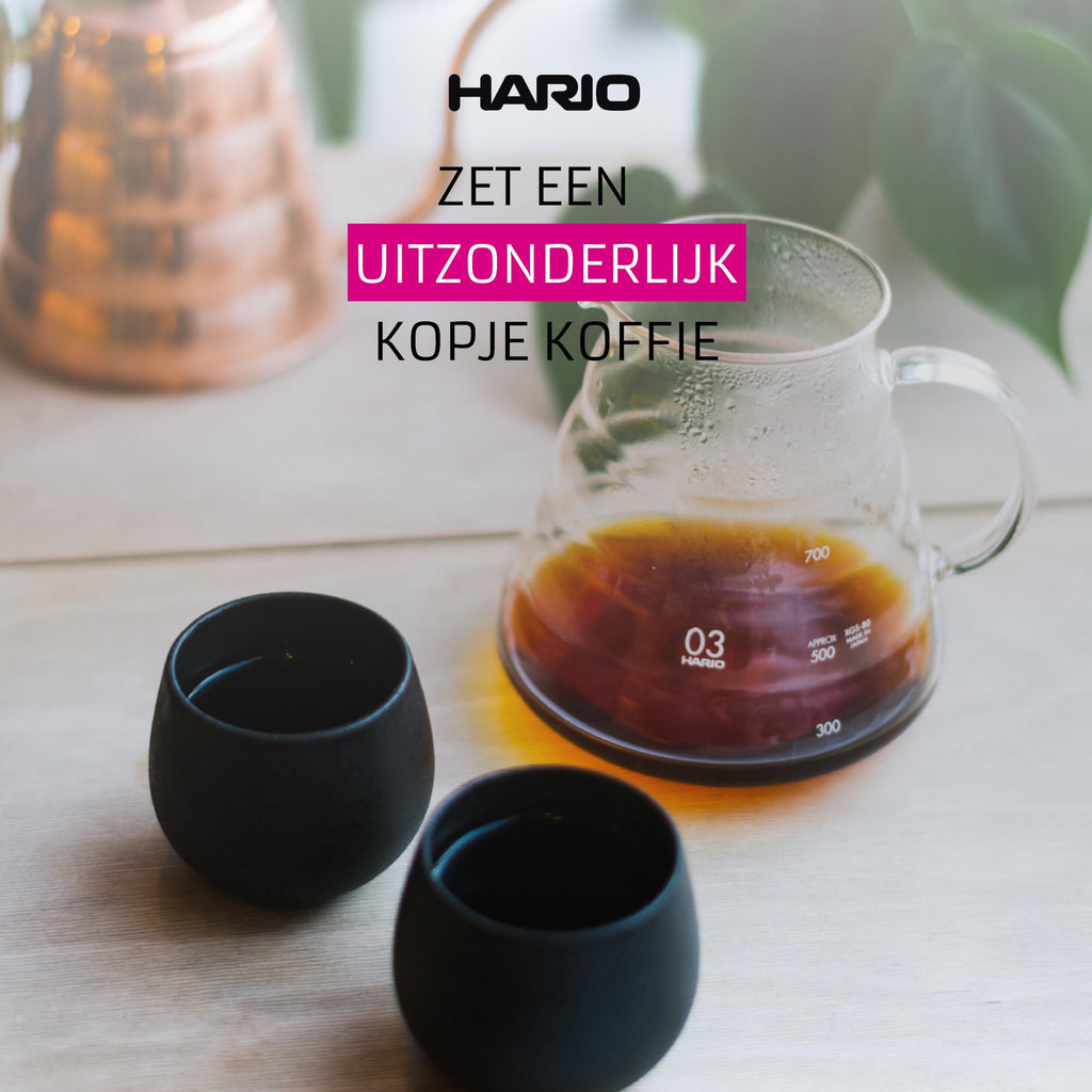 Hario V60 Glass Range Coffee Server, 600ml, Clear