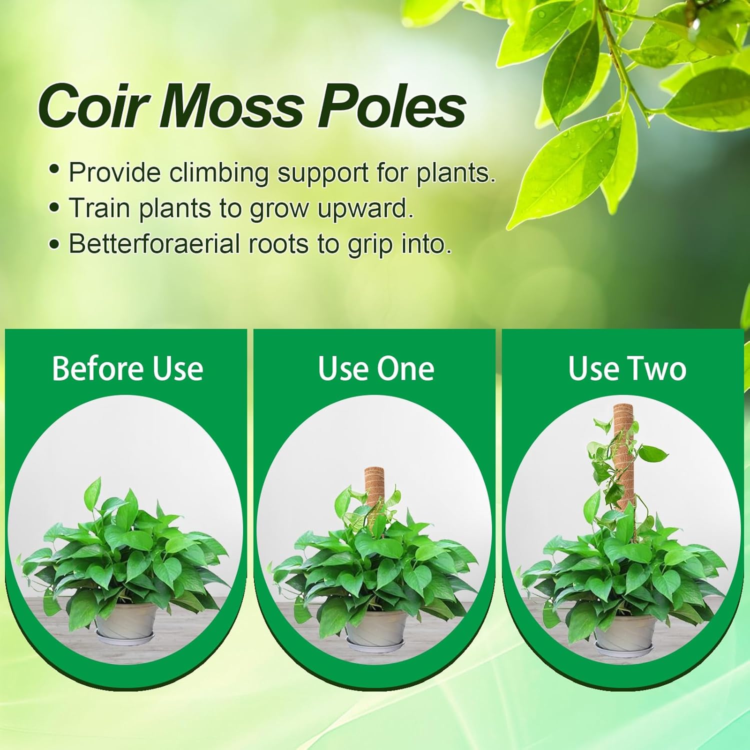 Skiennix 6 Pack Moss Poles for Monstera Plant Support - Stackable 4x17in & 2x12in, Ideal for Indoor Plants