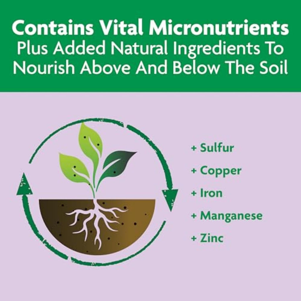 Miracle-Gro Shake 'n Feed Rose & Bloom Plant Food - Long-Lasting Granular Fertilizer for Flowers - 4.5 lbs