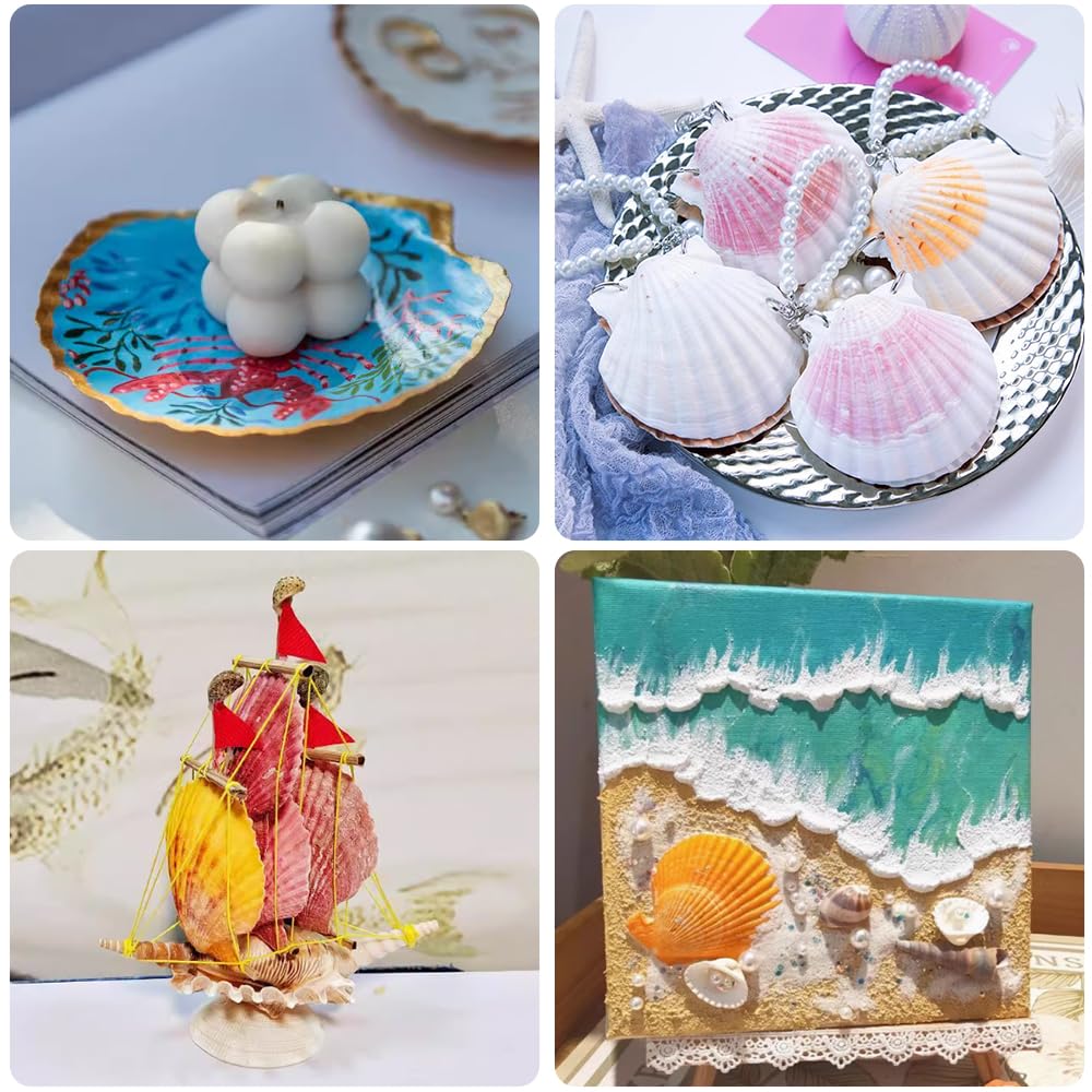 YUJUN 18PCS Large Natural Scallop Shells,2''-3'' 4''-5'' White Seashells Bulk for Crafts DIY Painting Baking and Ocean Summer Beach Wedding Home Decorations(2 Sizes Range)
