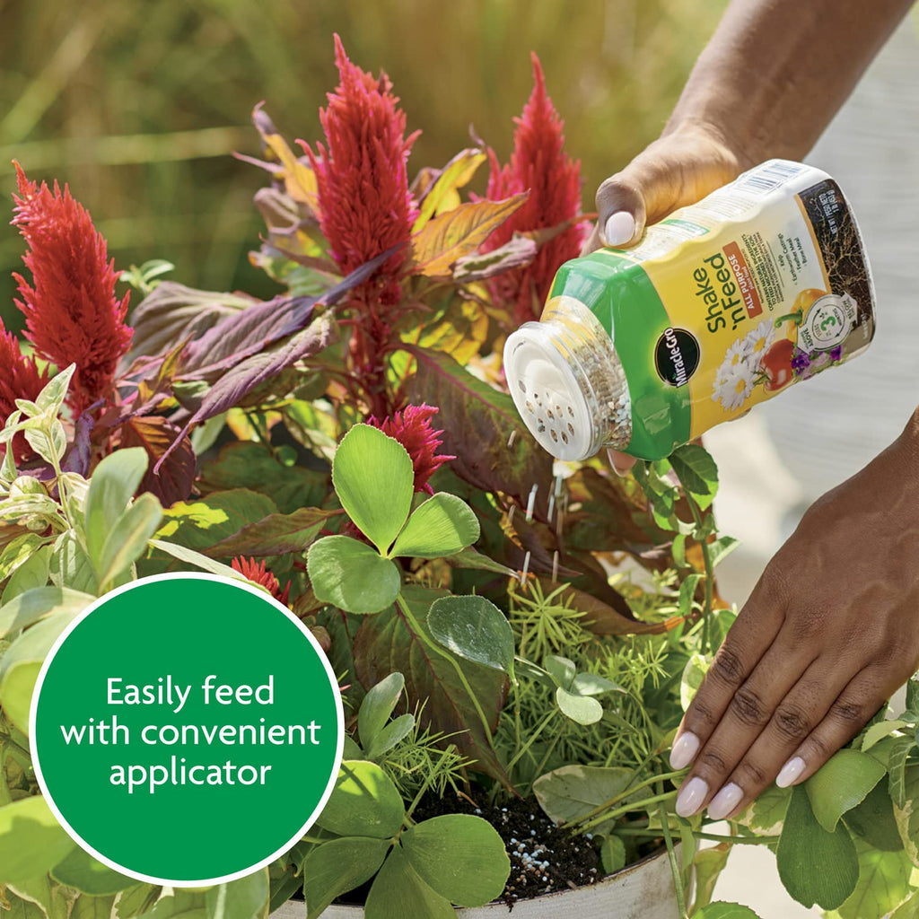 Miracle-Gro Shake 'N Feed All Purpose Plant Food - Nourishes Indoor & Outdoor Plants for 3 Months | 1 lb