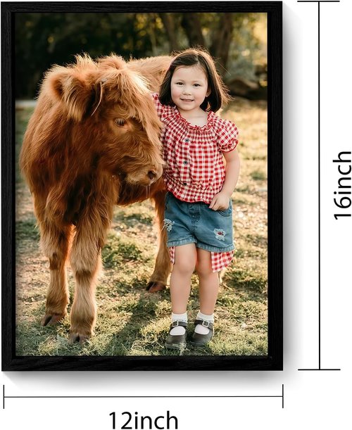 Custom Canvas Prints | Turn Your Photos Into Framed Wall Art | Ideal Home Décor Gift (12x16, Black Frame)