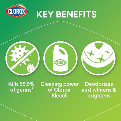 Clorox Toilet Bowl Cleaner - Fresh Scent, 24 Fl Oz - Powerful Stain Removal & Disinfection
