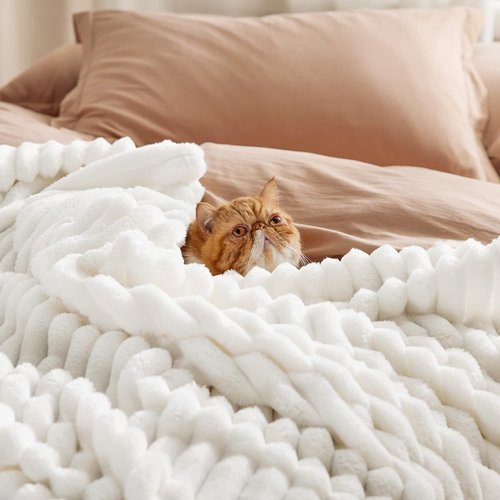Bedsure Fleece Blanket - Soft Off White Throw with Pillow Covers | Cozy Home Essential