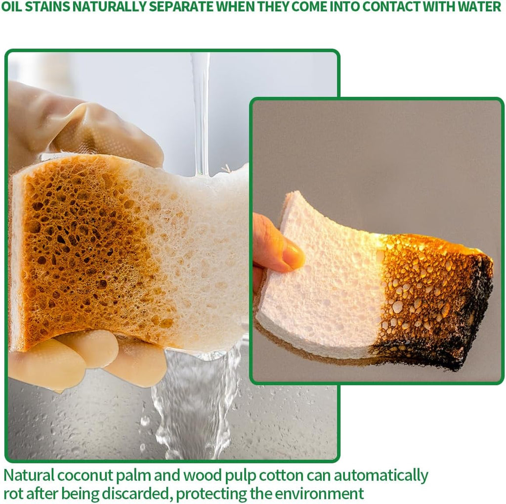 Natural Dish Sponges | Plant-Based Biodegradable Cellulose with Coconut Scrubber - Eco-Friendly (Pack of 12)