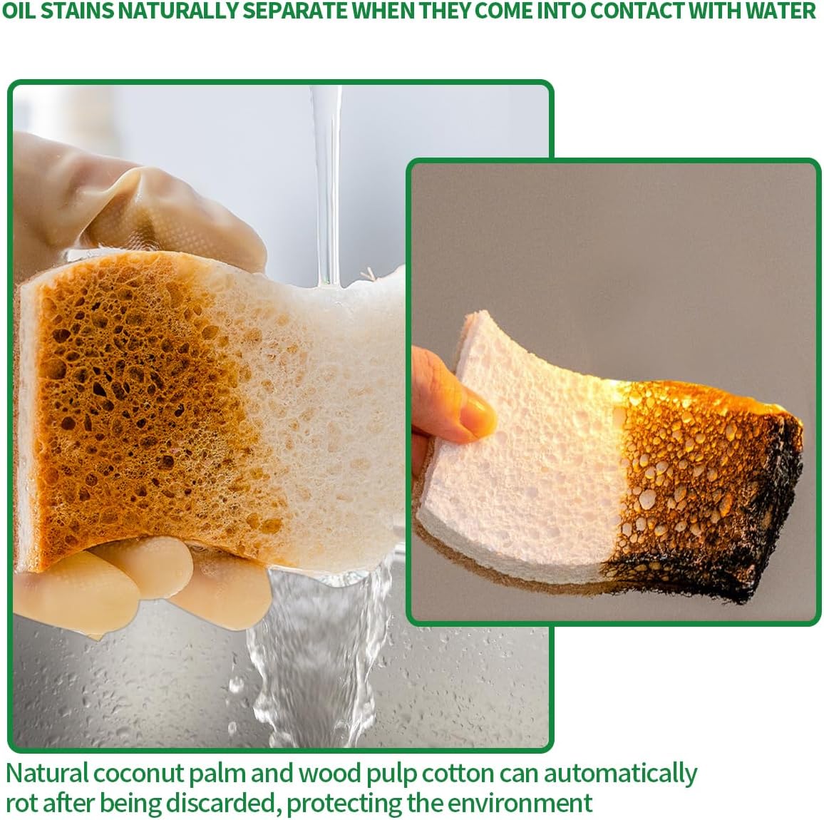 Natural Dish Sponges | Plant-Based Biodegradable Cellulose with Coconut Scrubber - Eco-Friendly (Pack of 12)