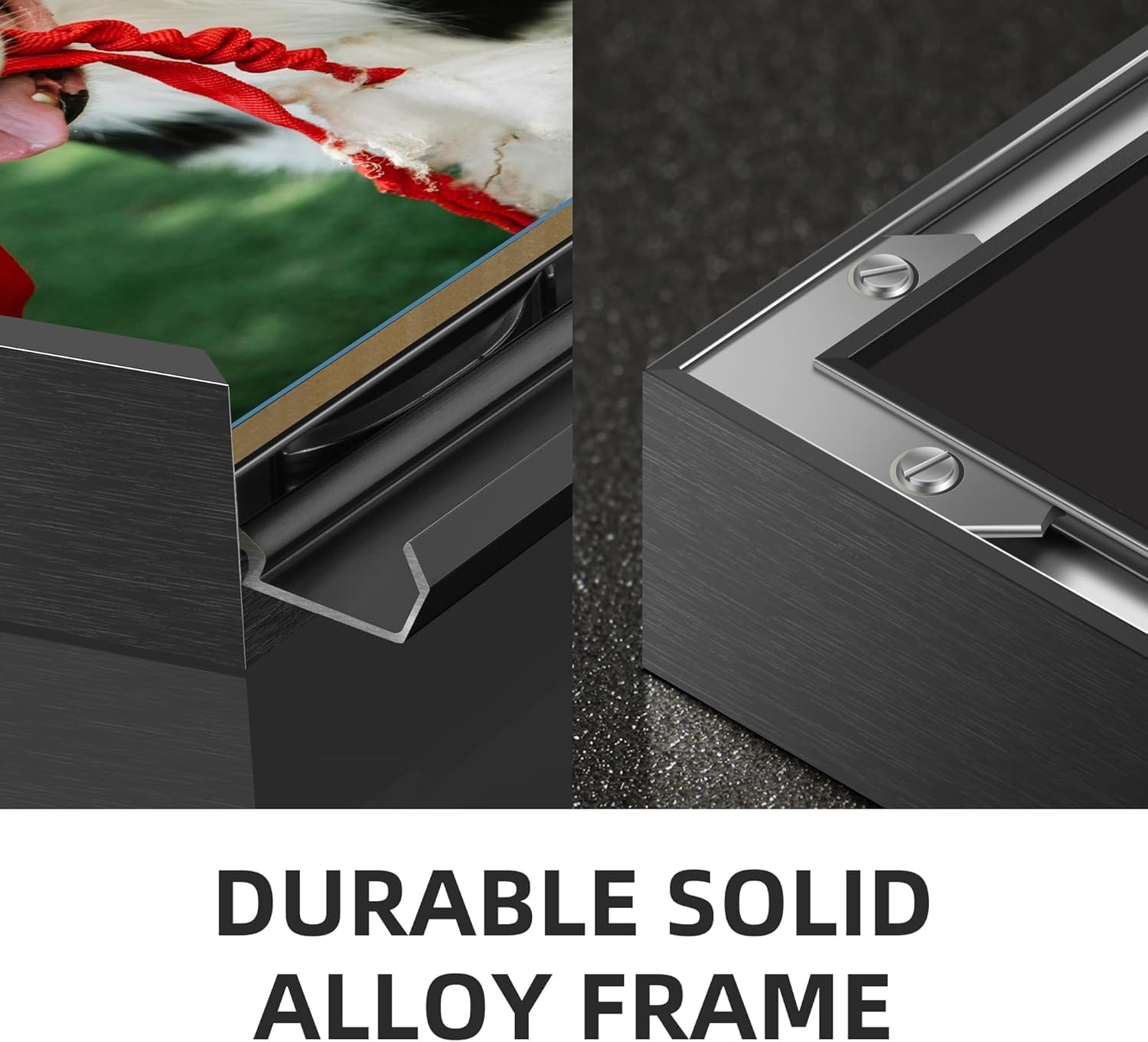 Skiennix Canvas Prints - Custom Photo Posters for Framed Wall Art | Ideal Home Décor & Gifts (8x10, Black Frame)