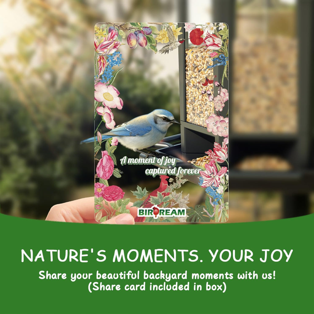 Birdream Bird Feeders - Retro Pagoda Design for Outdoor Hanging | Attract Wild Birds in Style