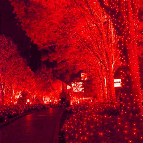 HISHINY LED Red Christmas Net Lights - 100 LED Connectable Indoor/Outdoor Mesh Decor | 5ft x 5ft