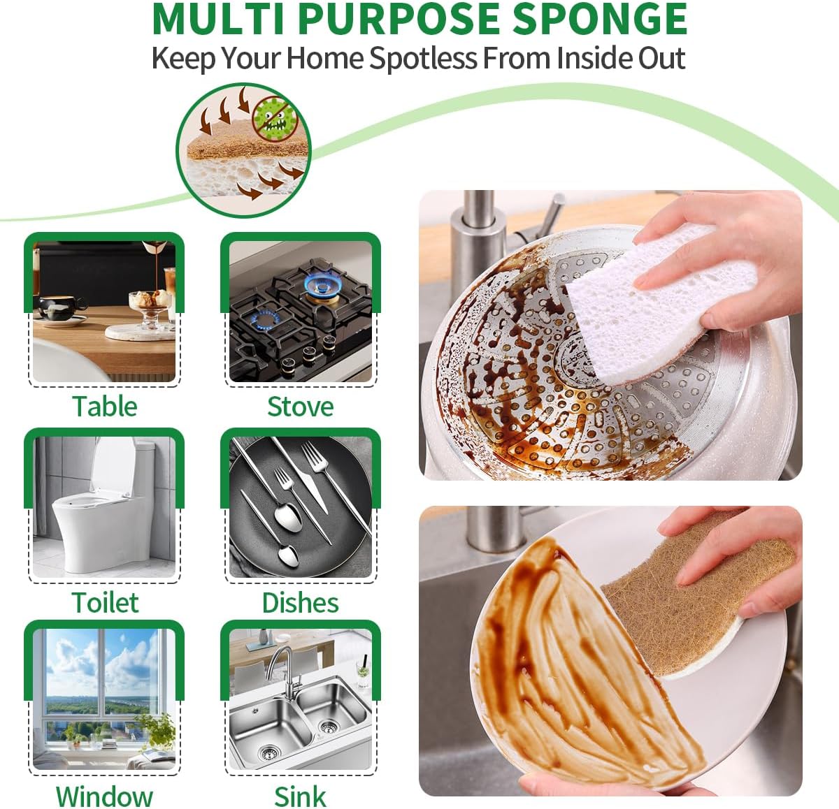 Natural Dish Sponges | Plant-Based Biodegradable Cellulose with Coconut Scrubber - Eco-Friendly (Pack of 12)