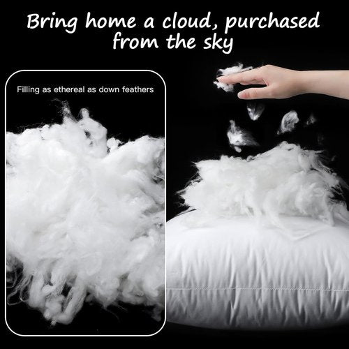 Artscope Synthetic Down Pillow Insert - Ultra Soft Fluffy 20x20 Down Alternative Throw Pillows | Set of 2, White