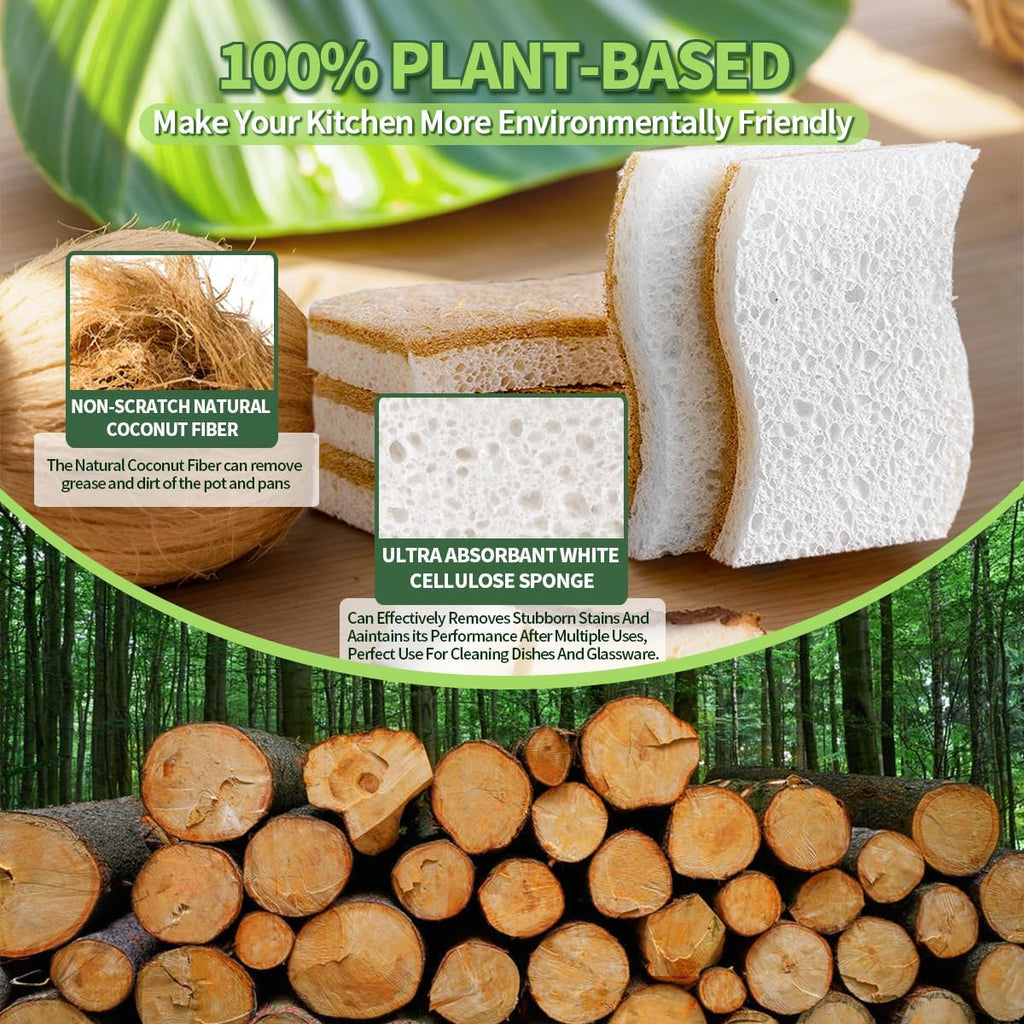 Natural Dish Sponges | Plant-Based Biodegradable Cellulose with Coconut Scrubber - Eco-Friendly (Pack of 12)