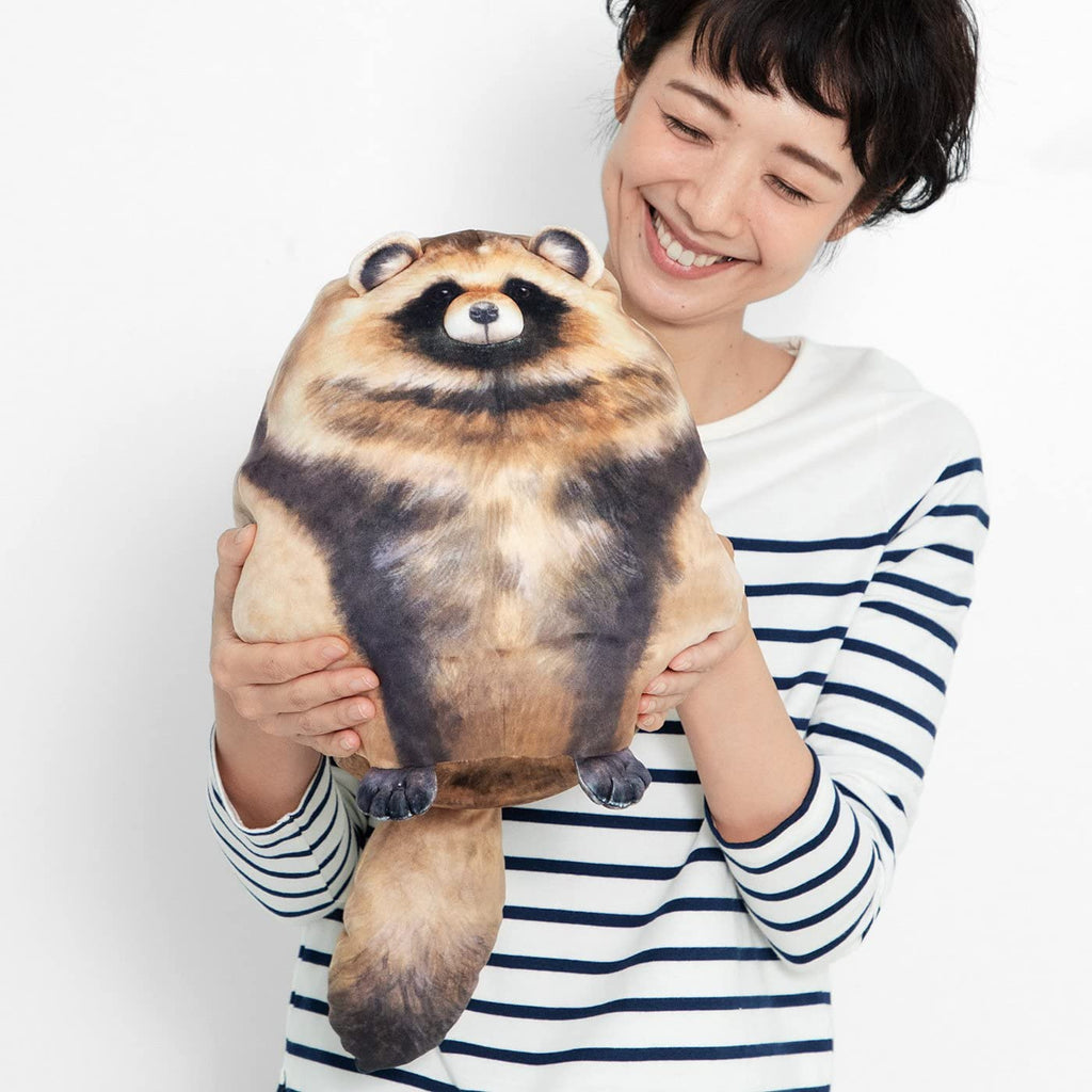 Raccoon Plush, 10" Raccoon Stuffed Animal, Cute Plushies for Girls, Soft Plush Pillow, Kitten Throw Pillow Doll Big Plush Toy Decoration Doll Gift for Kids Boys Birthday Christmas