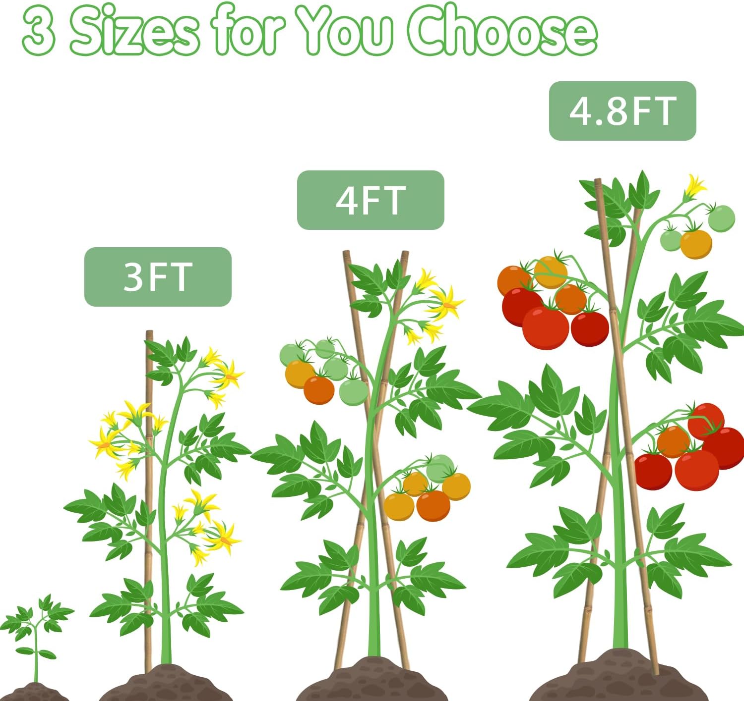 BOVITRO Bamboo Stakes - 3FT Natural Plant Supports for Tomatoes, Beans & Climbing Vegetables | 25 Pcs