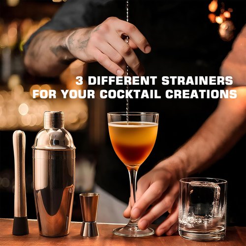 ARTFLY 18-Piece Professional Cocktail Shaker Set and Bartender Kit with Stand, Stainless Steel Bar Tools Gift Set with Muddler, Jigger, Mixing Spoon for Home Bar and Mixology