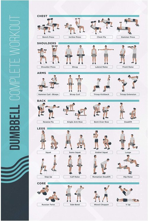 FitMate Dumbbell Workout Poster - Free Weights Exercise Routine Guide for Home Gym (16.5 x 25 Inch)