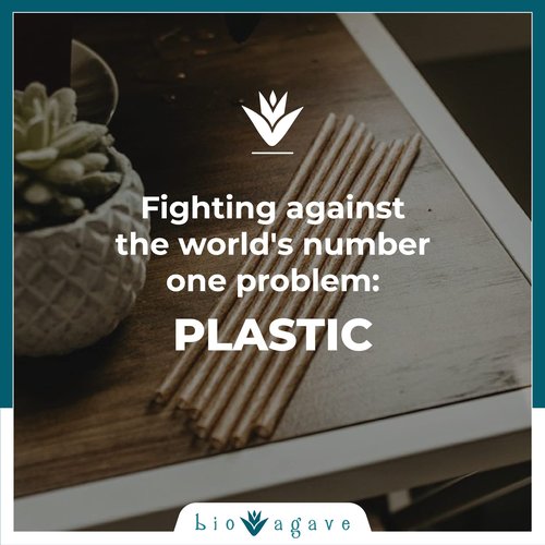 BIO AGAVE Biodegradable 8.25" x 8mm JUMBO Straws Agave 1650 Pcs | Plant Based Eco Friendly Products | Drinking Straws | Drinking Straws | Straws & Reusable straws | Plastic-Free | No PFAs