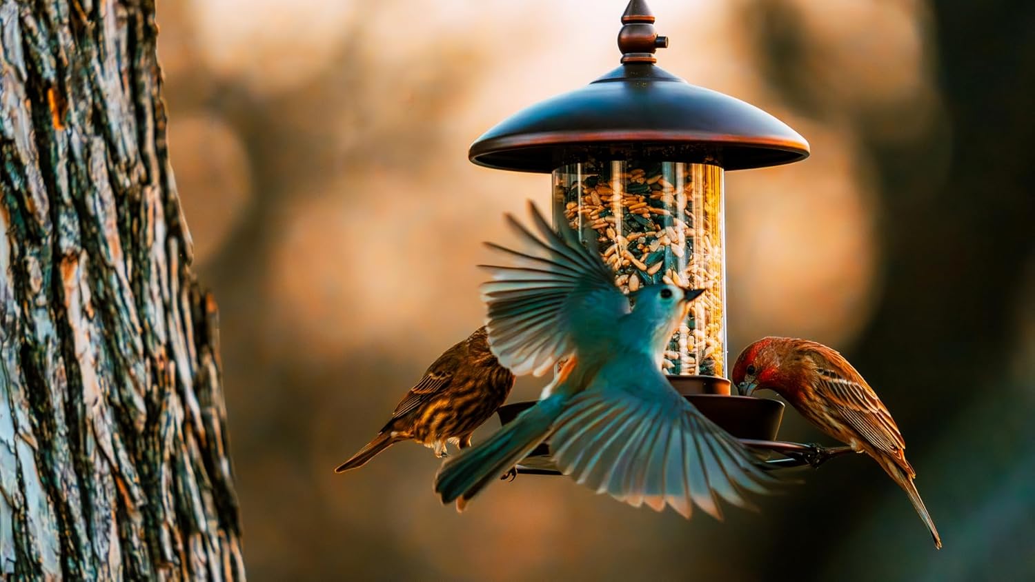 Youvip Metal Roof Bird Feeder - Chew-Proof Design for Outdoor Use | Bronze Finish