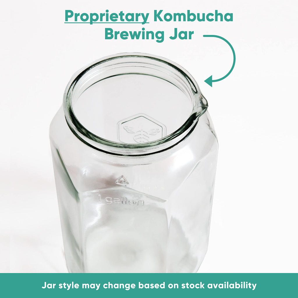 Craft A Brew Home Brewing Starter Kit Kombucha Tea Kit – Home Kombucha Kit – Fermentation Starter with Kombucha SCOBY – 1 Gallon