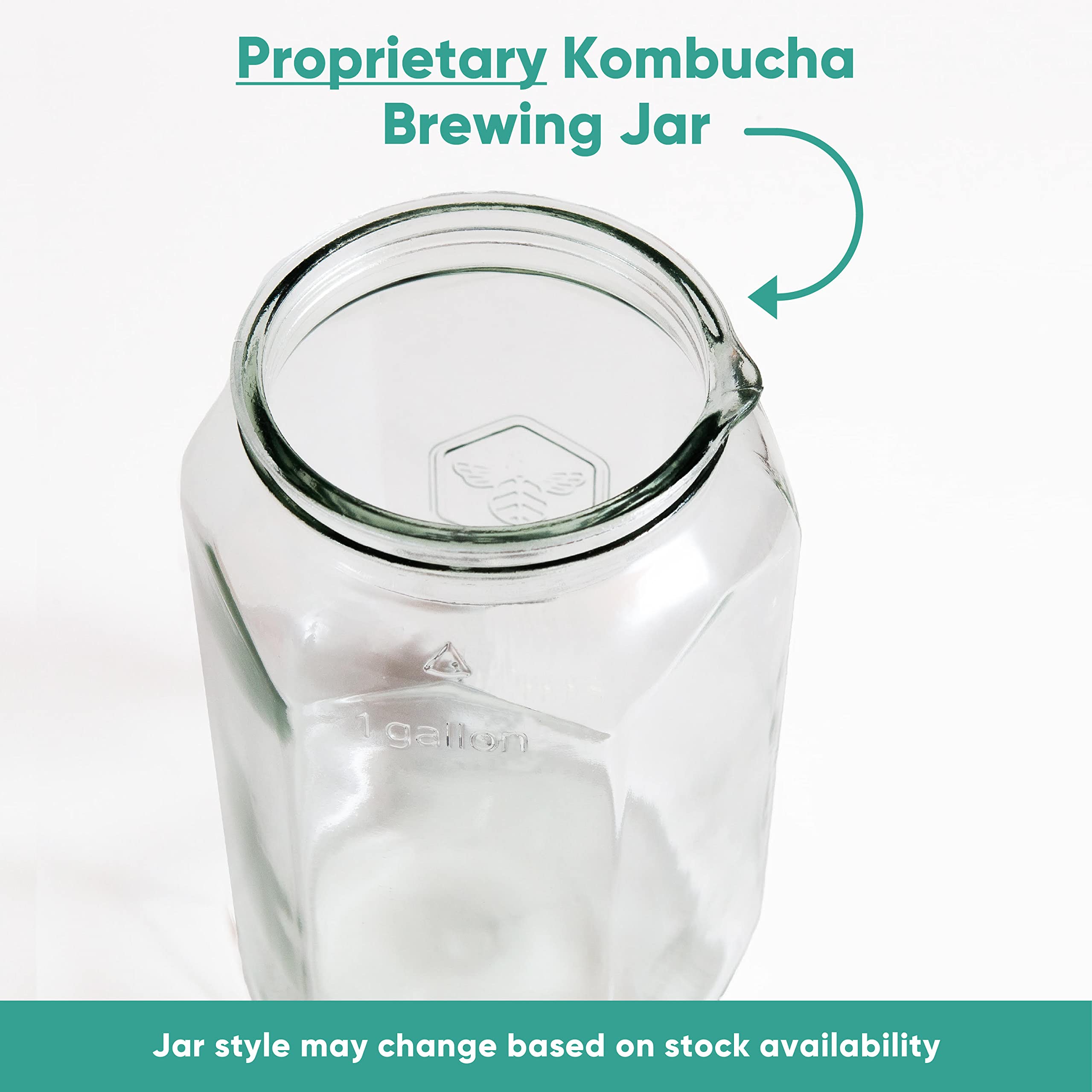 Craft A Brew Home Brewing Starter Kit Kombucha Tea Kit – Home Kombucha Kit – Fermentation Starter with Kombucha SCOBY – 1 Gallon