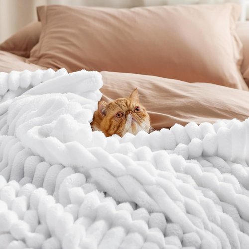 Bedsure GentleSoft Queen Blanket - Cozy Fleece Throw for Women & Girls, Bright White, 90x90 Inches