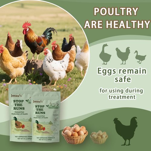 Chicken Gut Modulator - Natural Anti-Diarrhea Powder for Poultry | 10 oz Supplement for Ducks & Geese