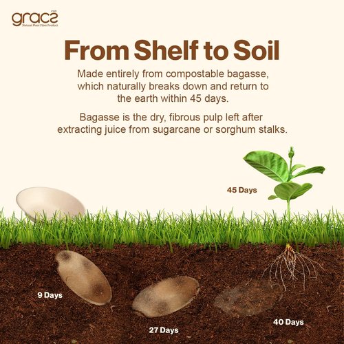 Gracz Disposable Plates - Oval Compostable Paper Plates 6.5-inch - Made from Renewable Sugarcane Fiber - For Home, Catering, Schools, Healthcare Facilities - Pack of 50