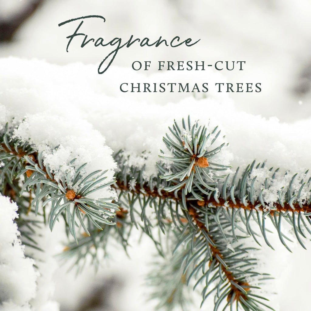 Thymes Frasier Fir Candle – Pine Needle Design – Holiday Scented Candle – Notes of Crisp Siberian Fir, Cedarwood & Sandalwood – Luxury Home Fragrance Gifts for Women & Men – Silver (Statement, 2 oz)