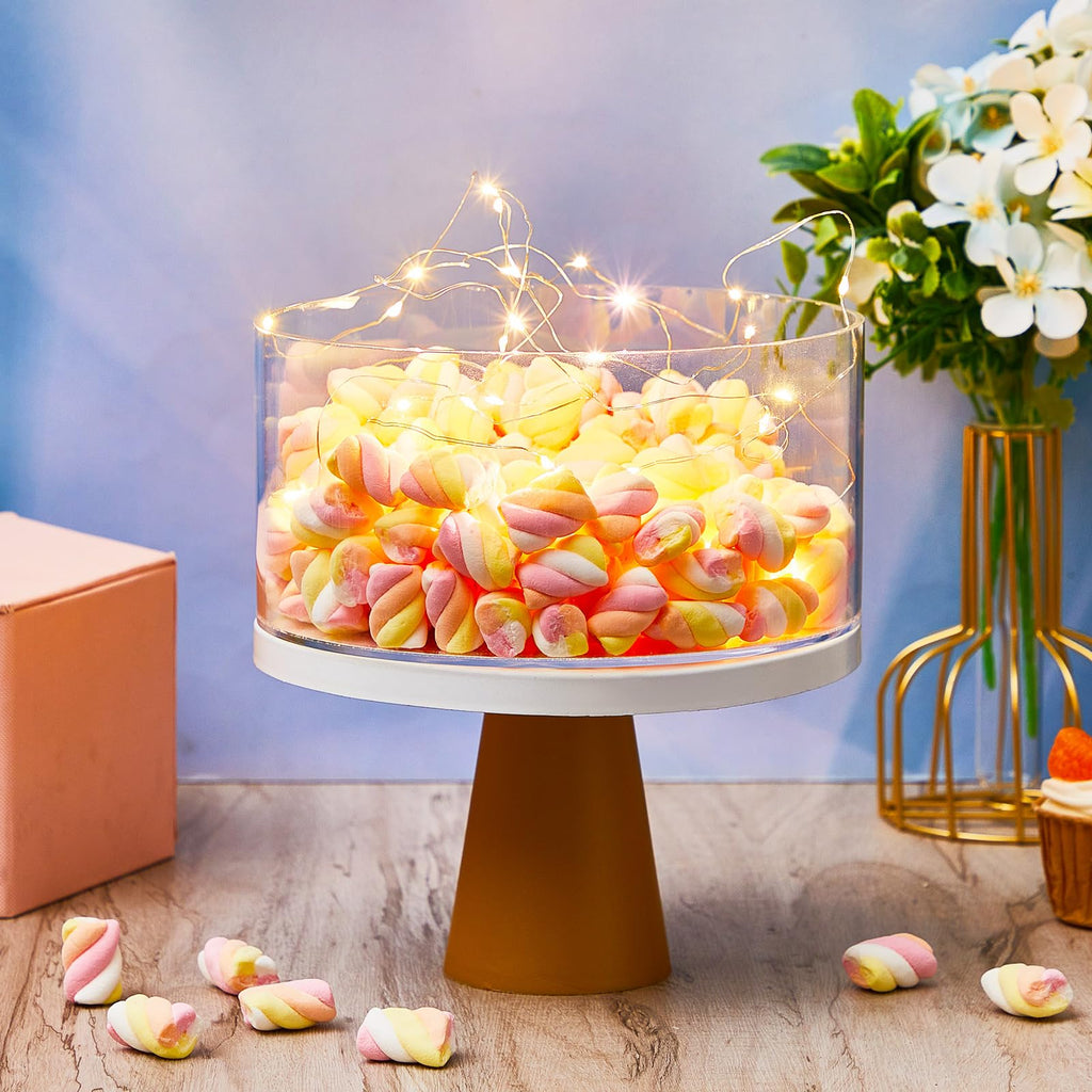 Sunnyray 2 Pcs Acrylic Cake Stands for Dessert Table Clear Fillable Cake Riser Cupcake Tier with LED Strings for Birthday Wedding Holiday Party Display(10", 14")