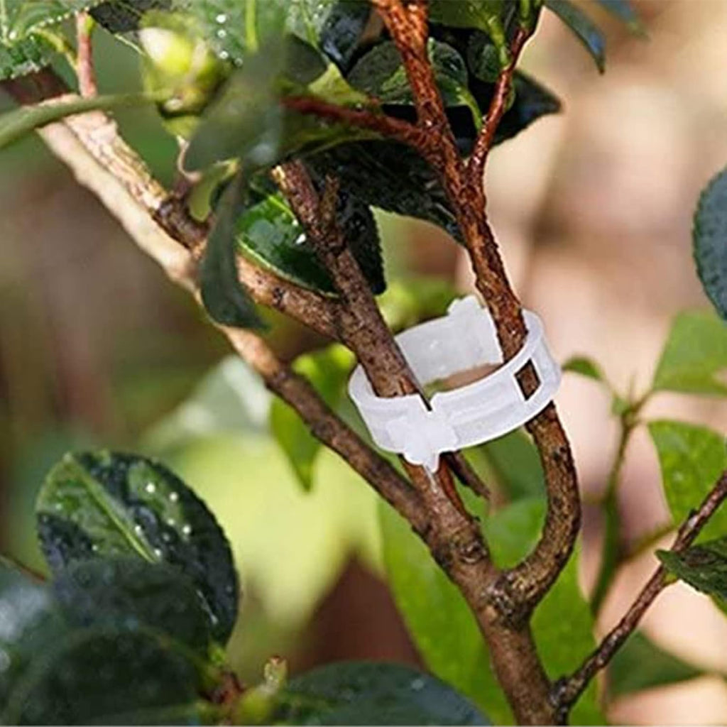 Skiennix Plant Support Clips - 100PCS Garden Clips for Tomatoes, Vines & Trellis - Durable Fastening Tools