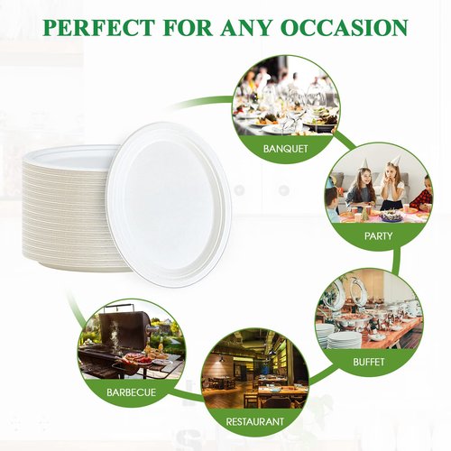 Vplus 300 Pack 100% Compostable Oval Paper Plates 12 inch Super Strong Disposable Paper Plates Bagasse Natural Biodegradable Eco-Friendly Sugarcane for BBQ, Party, Dinner, and Picnic