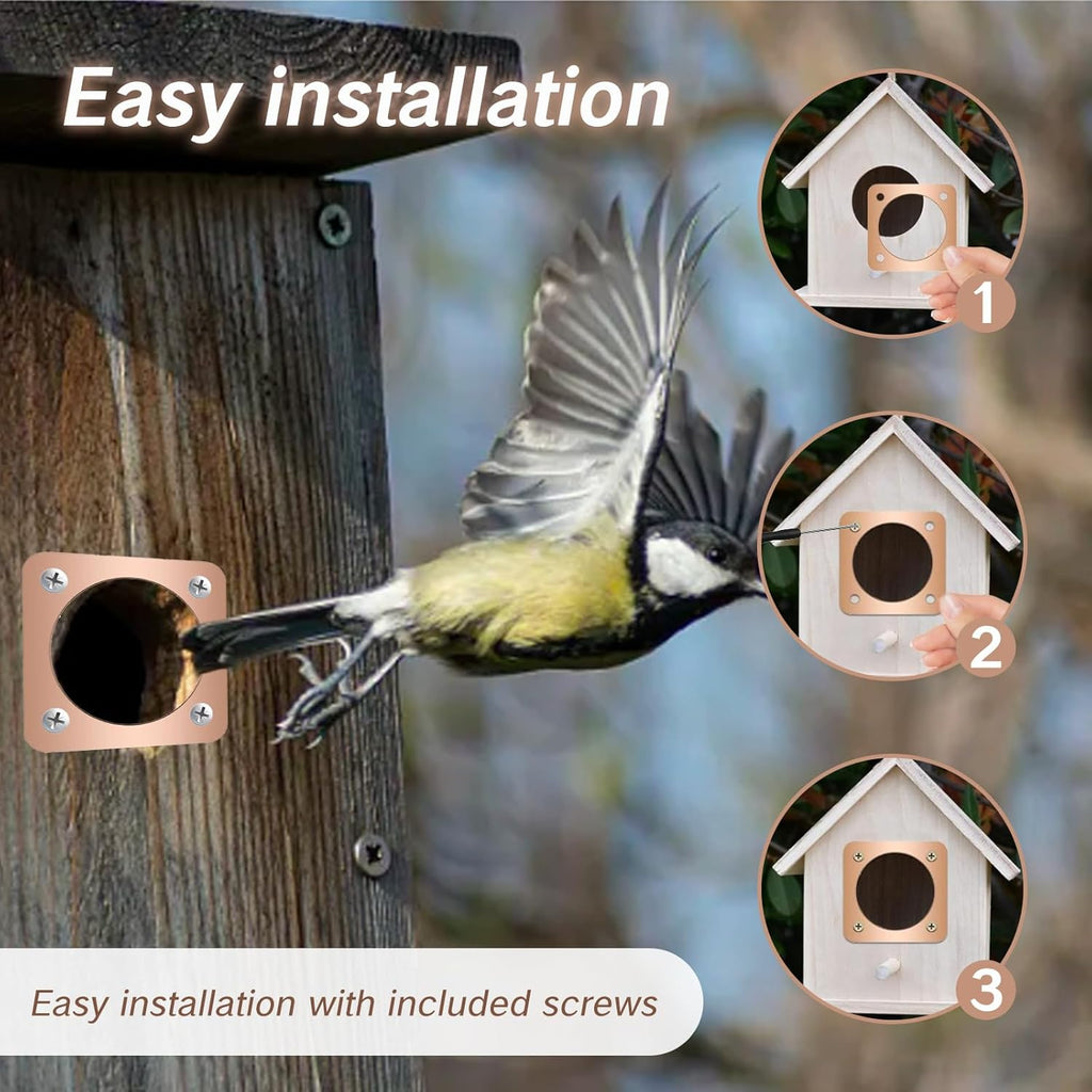 Skiennix Birdhouse Predator Guard - Copper Metal Protector for Eastern Bluebirds | 1.5-Inch Hole