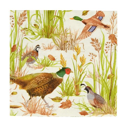Caspari Birds Of A Feather Luncheon Napkins - 20 Per Package