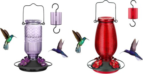 FEED GARDEN Glass Hummingbird Feeder - 16 Oz Purple & 20 Oz Red for Vibrant Garden Decor