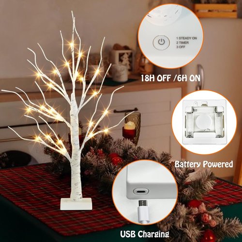 EAMBRITE Lighted Birch Tree - 24 LED Mini Tabletop Decorations | Battery Operated & USB, 2FT White Trees for Easter & Christmas Decor