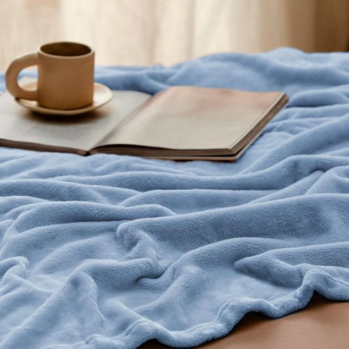 Bedsure GentleSoft Fleece Blanket - Lightweight Plush Cozy Twin Size in Light Blue, 60x80 Inches