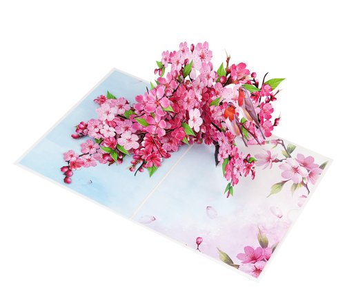 PQ Bees Robins Couple w Cherry Blossom Pop Up Anniversary Cards, 6x8in Wedding Anniversary Card, Valentines Day Card, 3D Gift Card for Her, Him, Husband, Wife (Cherry Blossom Robins Couple)