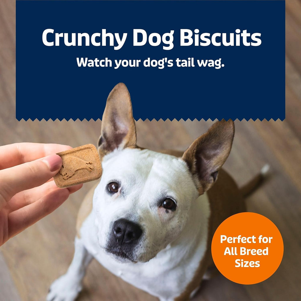 Blue Buffalo Crunchy Dog Biscuits - Oven-Baked Health Bars with Pumpkin & Cinnamon | 16 oz Bag