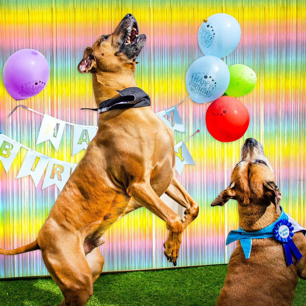 Pastel Rainbow Foil Fringe Curtain - Vibrant Party Backdrop for Birthday Celebrations