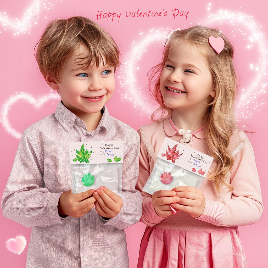 rifamee 24 Pack Valentines Day Gifts for Kids Science Kit Planting Crystal Classroom Exchange School Activities Party Favors for Boys and Girls with Card