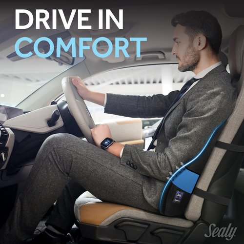 Sealy High Back Memory Foam Lumbar Support Pillow for Office Chair or Gaming Chair, Orthopedic Back Pillow for Car Seat, Black
