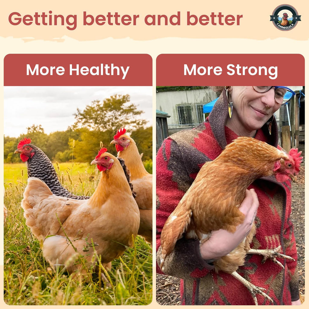 Natural Chicken Dewormer Powder - Chili Mix Formula | 1LB XL Pouch for Laying Hens & Gut Health