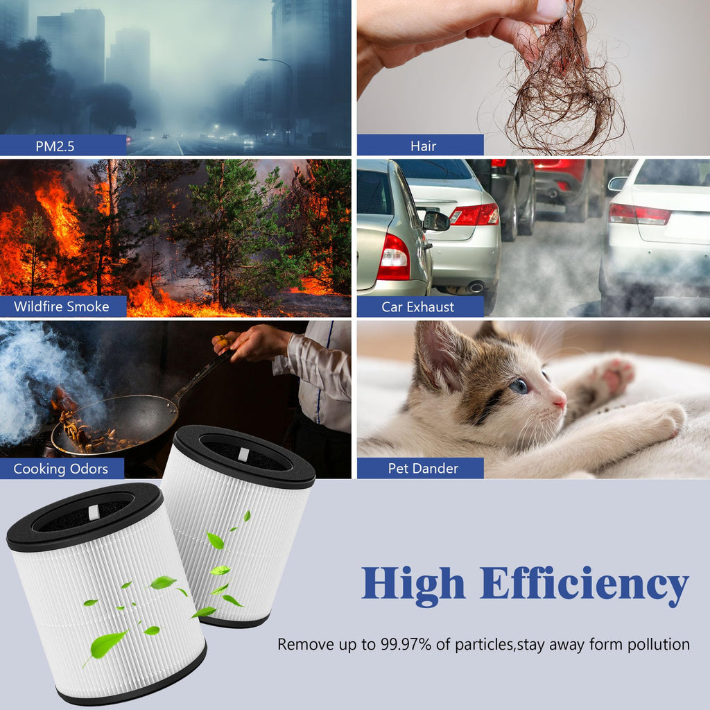 XBWW 2 Packs D10 Replacement Filters Compatible with Tailulu D10 Air Purifi-er, 3-in-1 Filter of D10 Premium Filter, Activated Carbon Filter with Extra 6 Pieces Aroma Pads