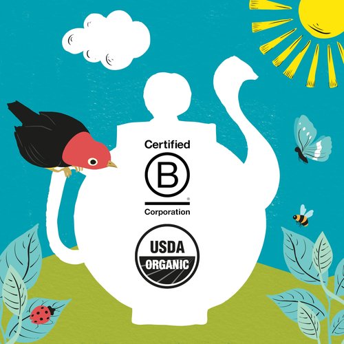 Clipper Tea Peppermint Teabags – Caffeine Free, USDA Organic, Great Hot or Iced – Sweet, Refreshing, Natural, Fair & Delicious Sweet – 250 Tea Bags