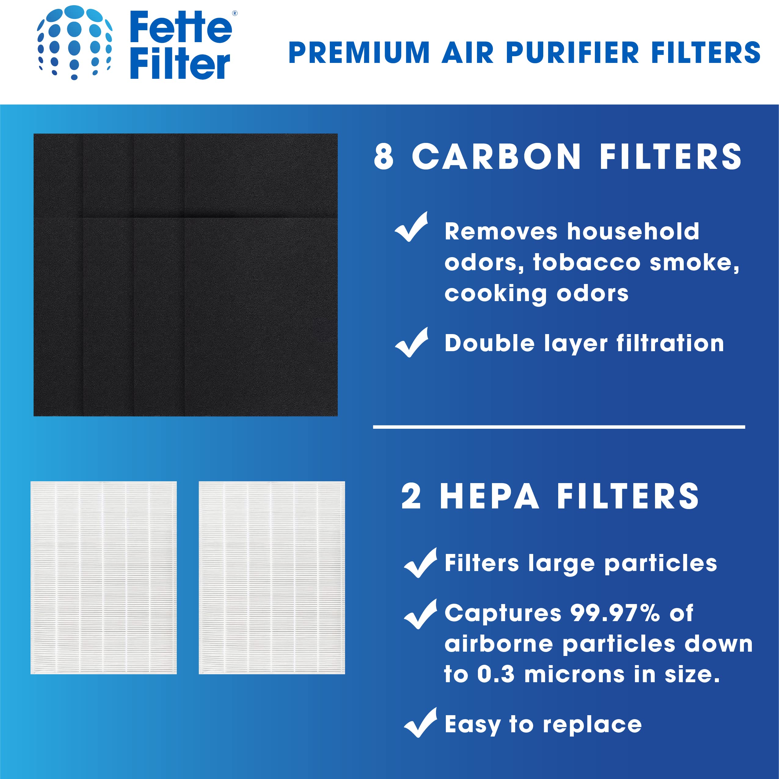 Fette Filter - 115115 Premium True HEPA H13 Filter Compatible with Winix Filter A 115115 Size 21 Plasma Wave Air Purifier AM90 P300 5300 5500 5300-2 6300-2 6300 C909 9800 C535 - Pack of 2 + 8